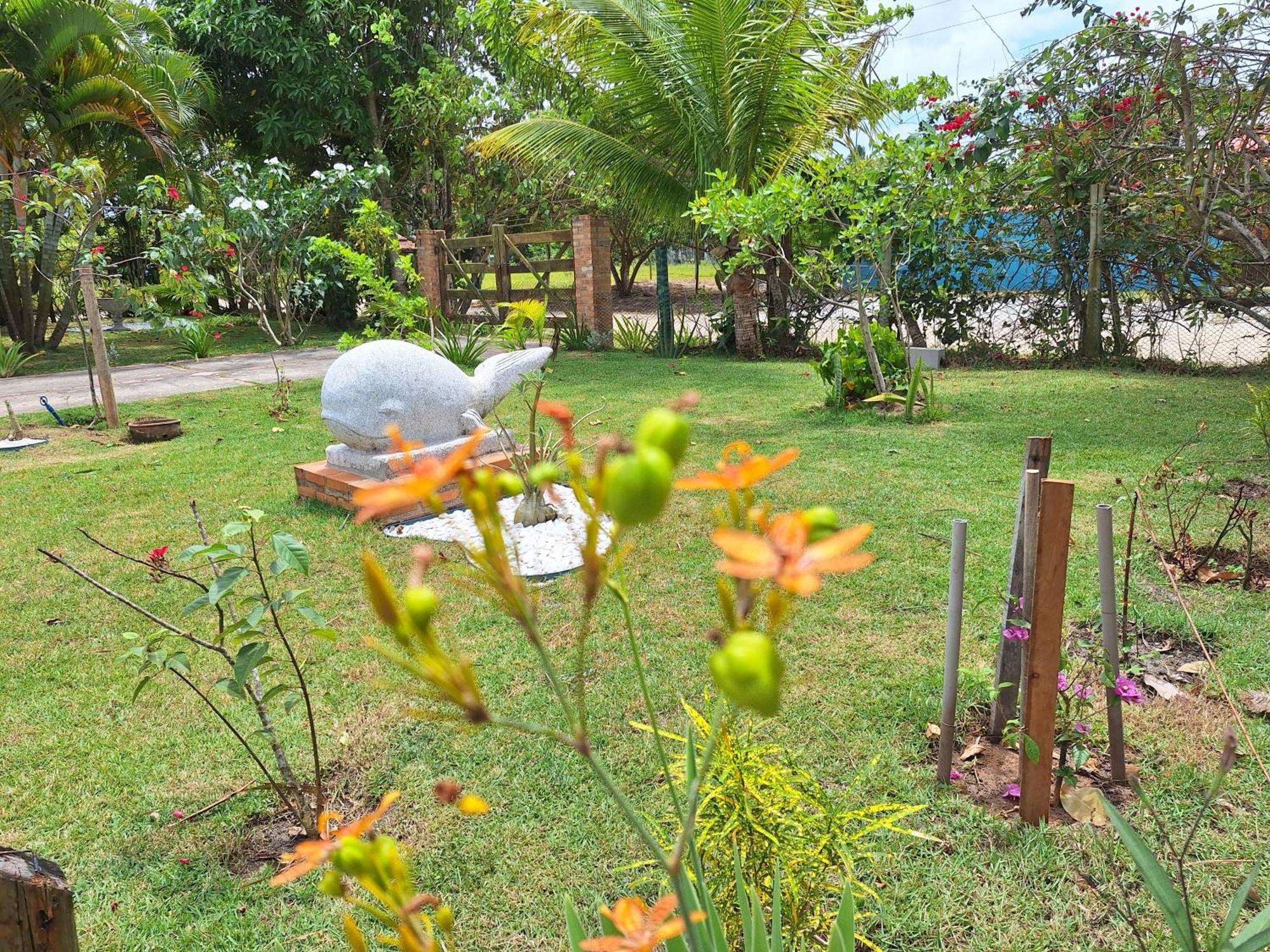 Casas Lindas No Paraiso! Costa Dourada Buitenkant foto