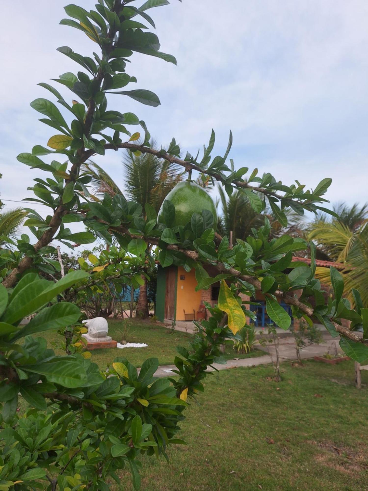 Casas Lindas No Paraiso! Costa Dourada Kamer foto